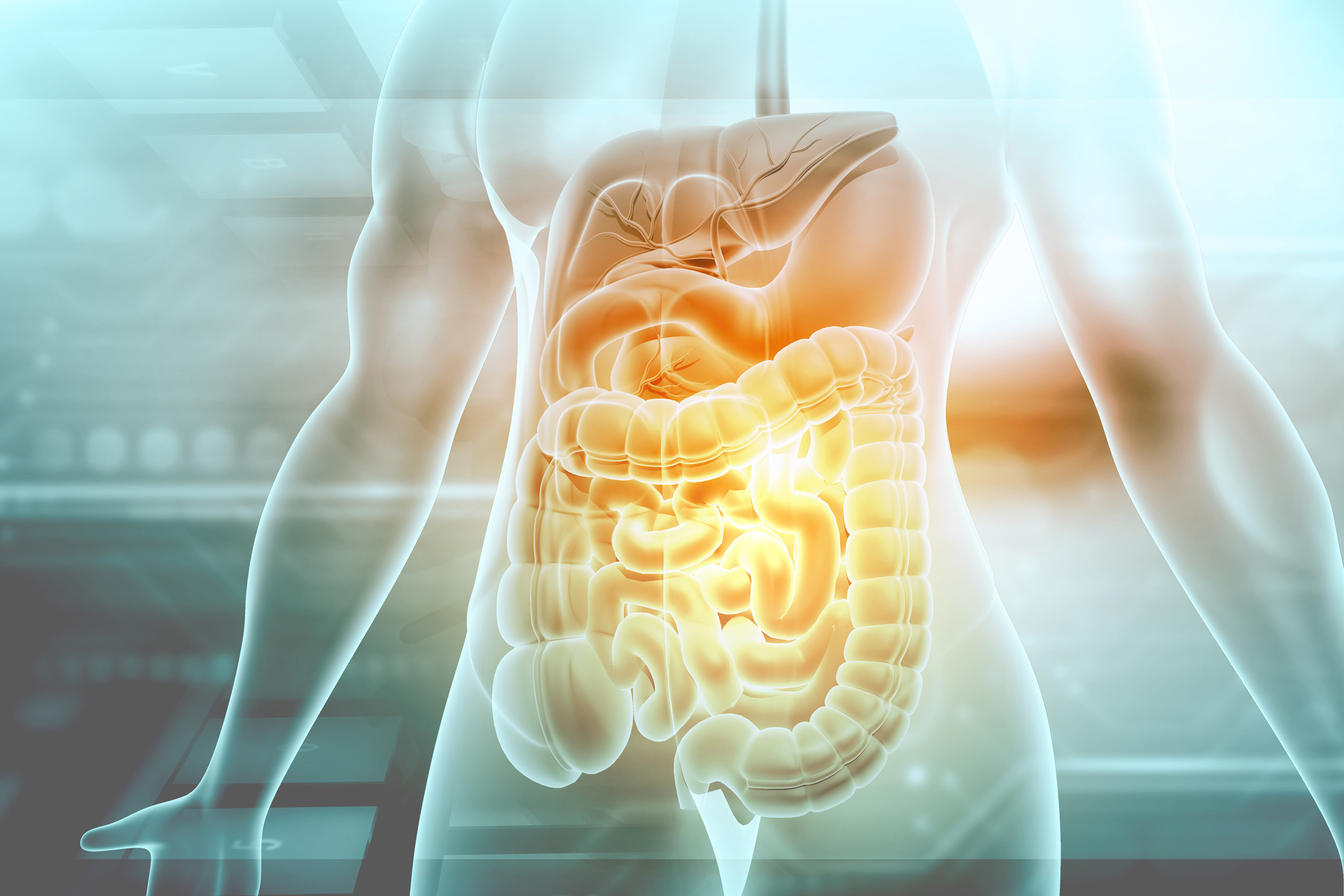 Verdauung Darmgesundheit Centrosan verdauung-darmgesundheit-centrosan