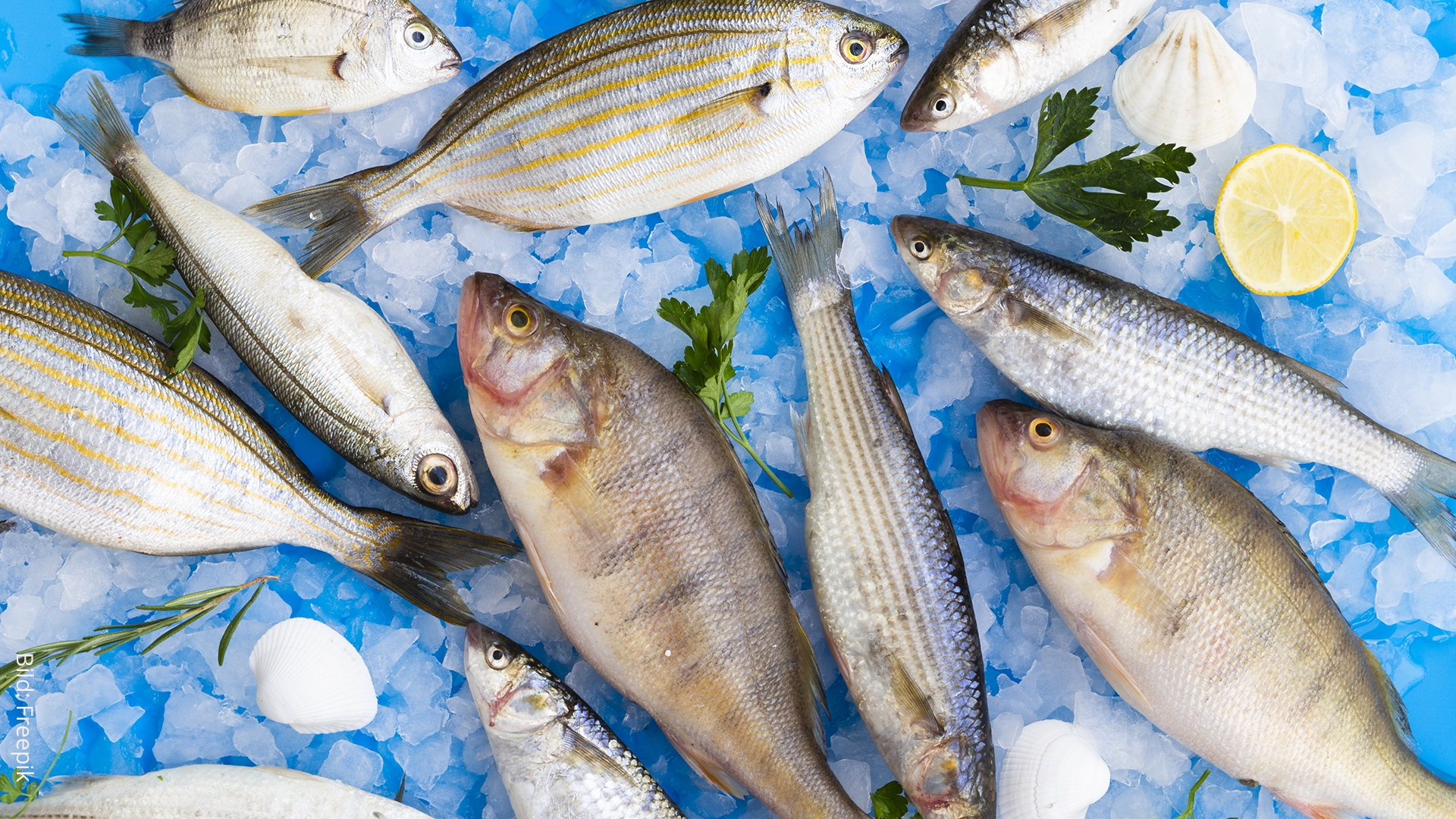 Fischverzehr senkt das Risiko für Schlaganfälle