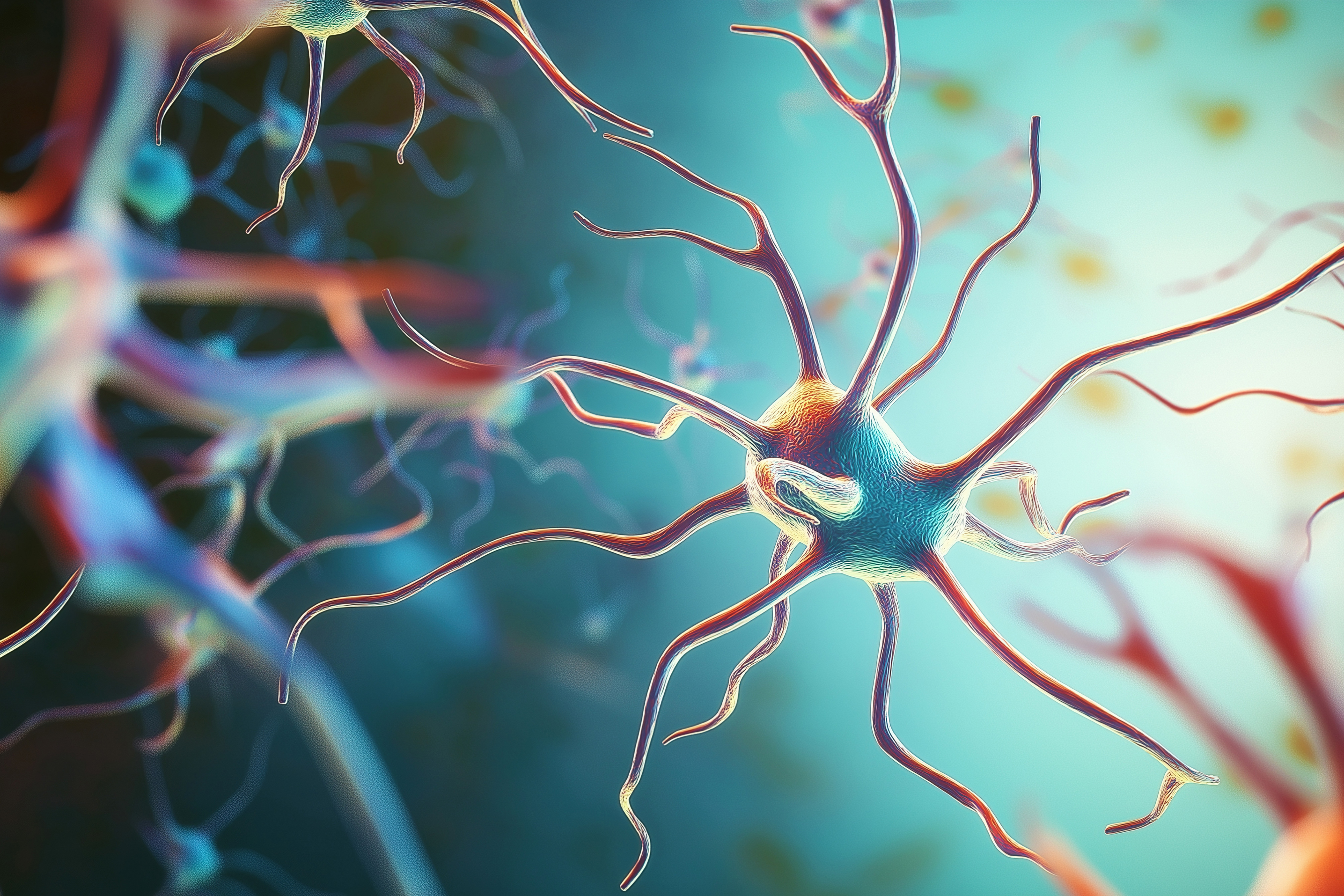 Nerven & Gedächtnis & Psyche