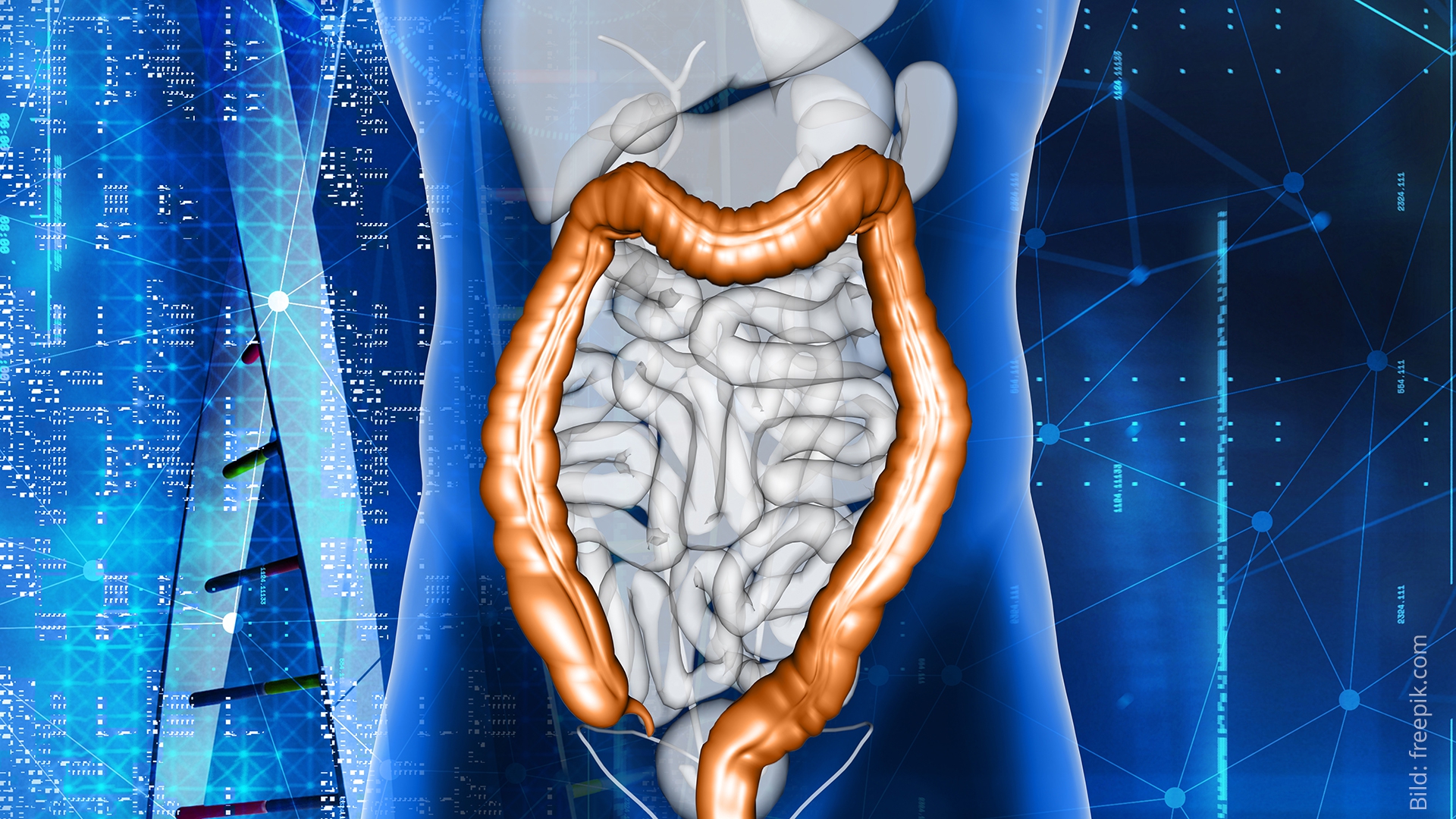 Kalzium kann den Schutz vor Darmkrebs unterstützen